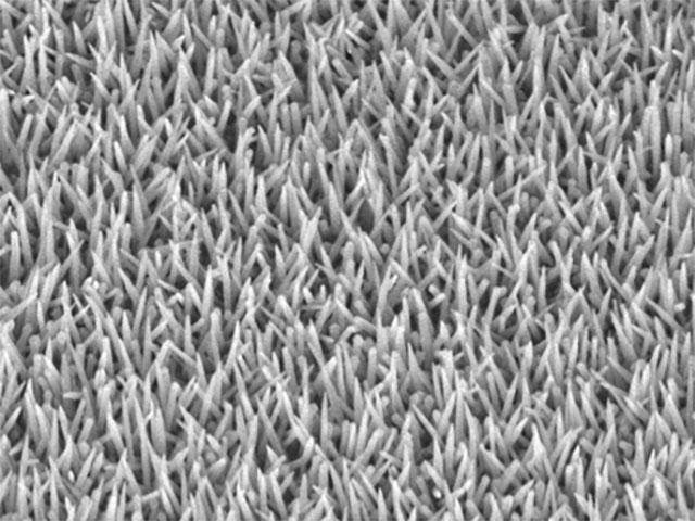 Synthesis of ZnO Nano tube for sensing application